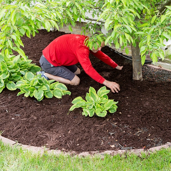 the mulch installation process generally takes a few hours, depending on the size of the area